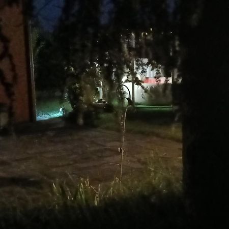 Il Borgo Dei Pini Daire Vinci Dış mekan fotoğraf