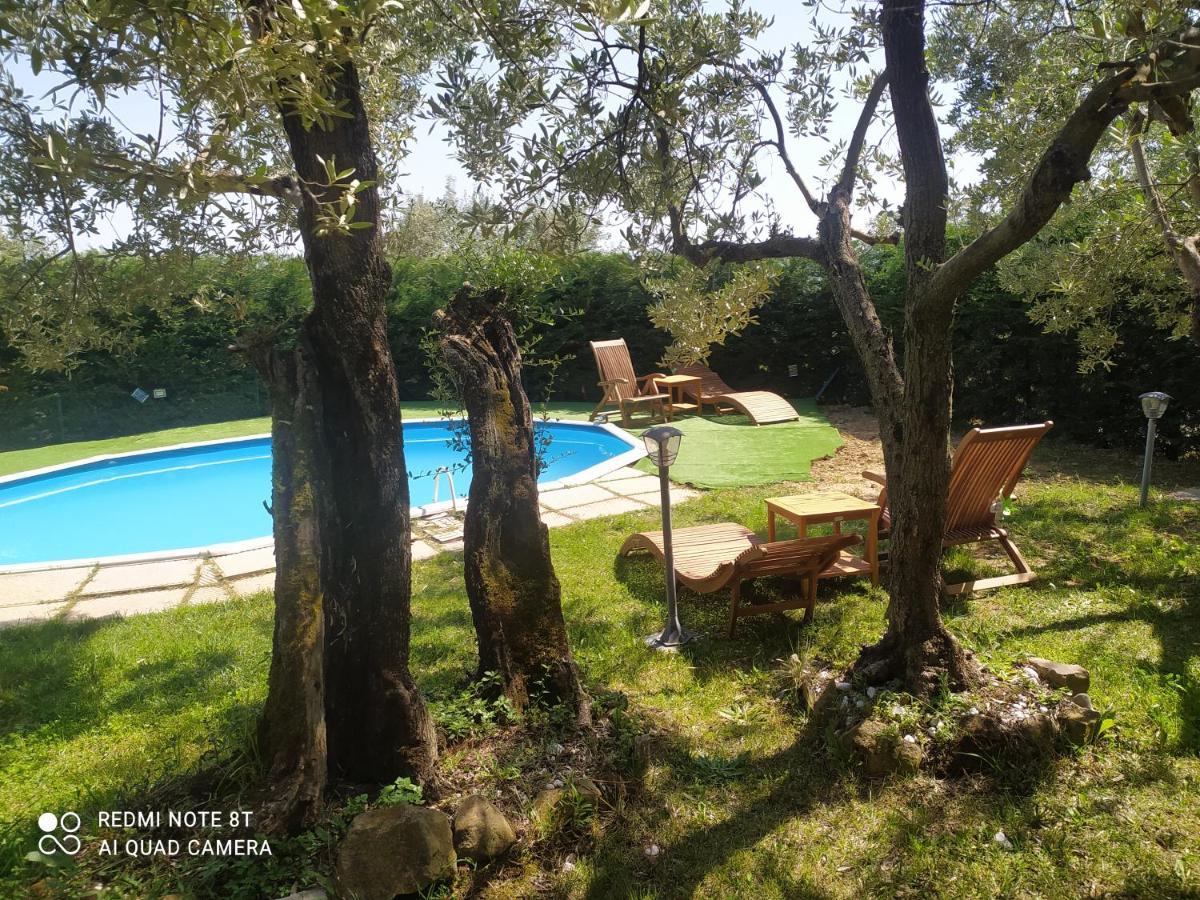 Il Borgo Dei Pini Daire Vinci Dış mekan fotoğraf