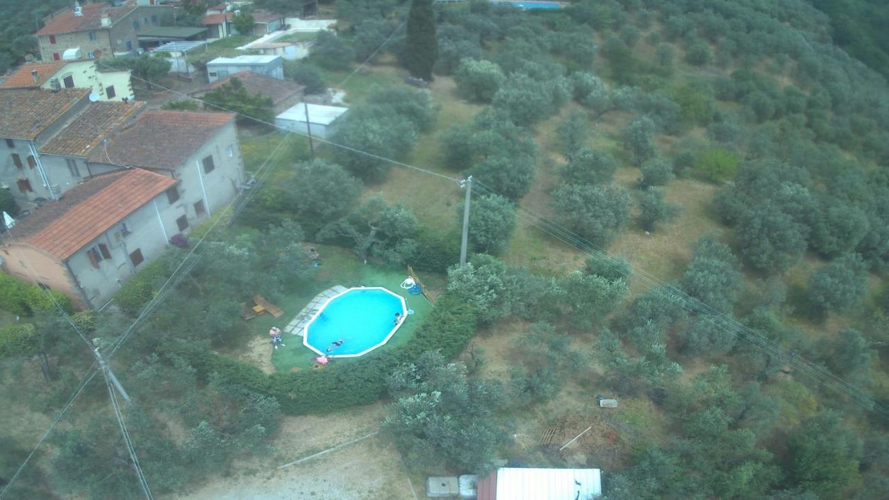 Il Borgo Dei Pini Daire Vinci Dış mekan fotoğraf