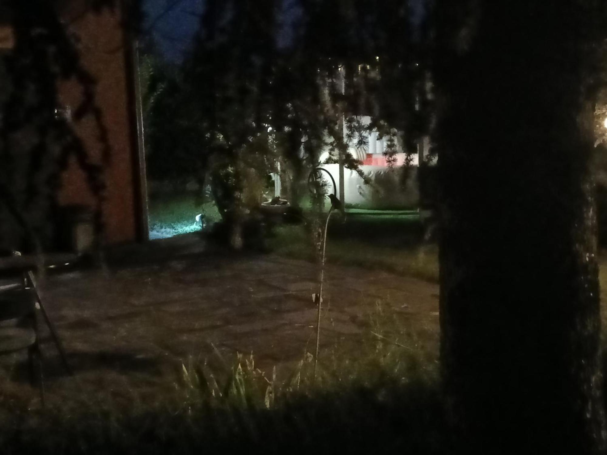 Il Borgo Dei Pini Daire Vinci Dış mekan fotoğraf
