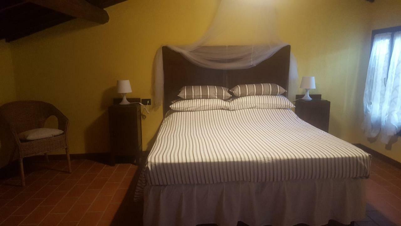 Il Borgo Dei Pini Daire Vinci Dış mekan fotoğraf