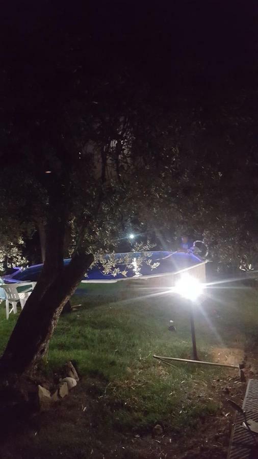 Il Borgo Dei Pini Daire Vinci Dış mekan fotoğraf