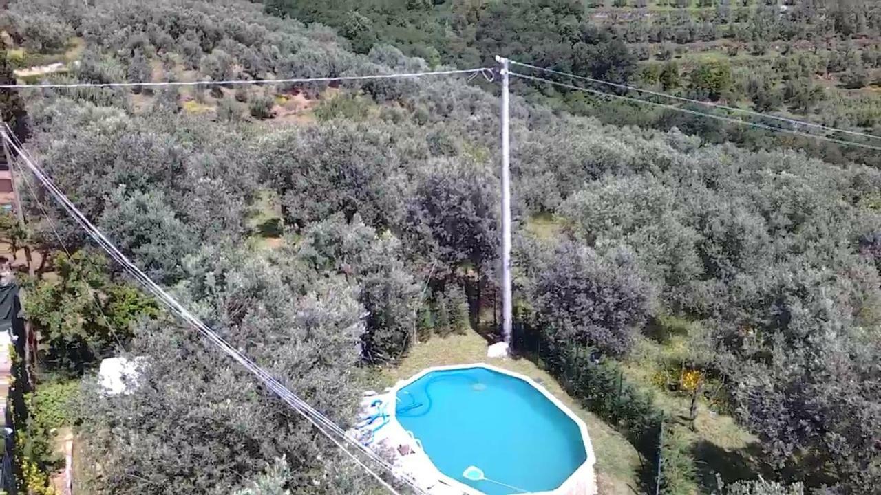 Il Borgo Dei Pini Daire Vinci Dış mekan fotoğraf