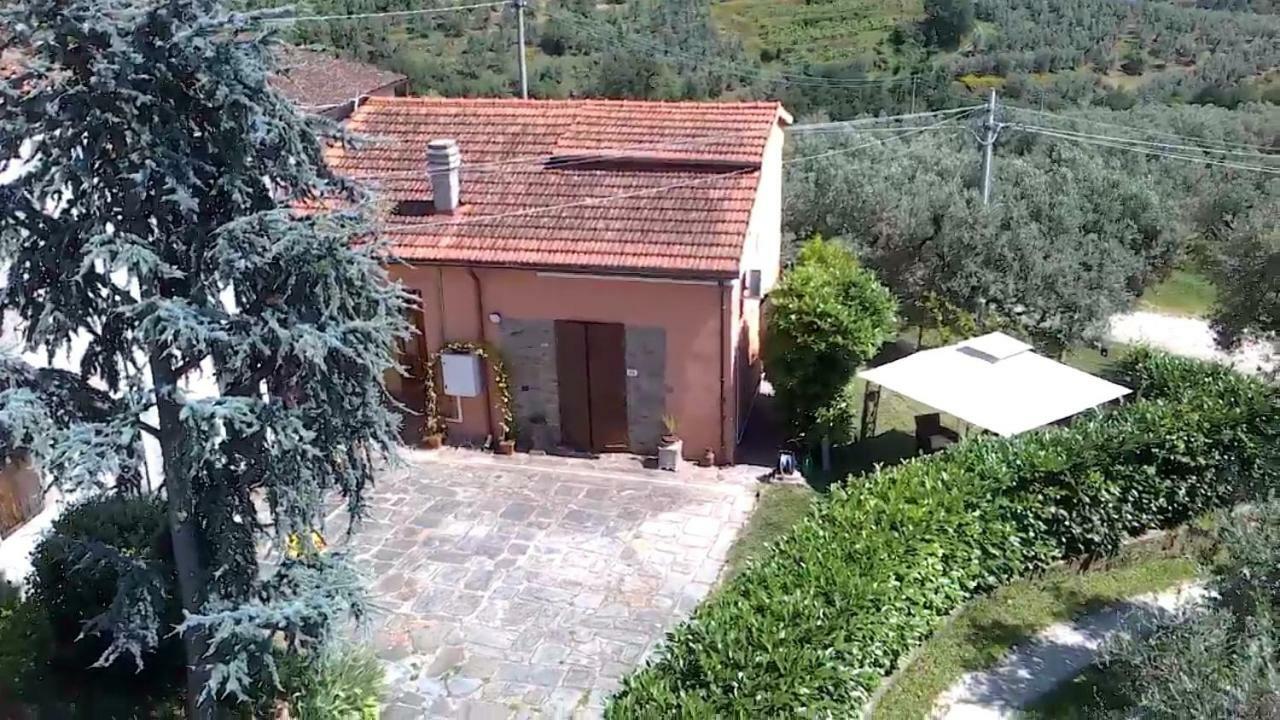 Il Borgo Dei Pini Daire Vinci Dış mekan fotoğraf