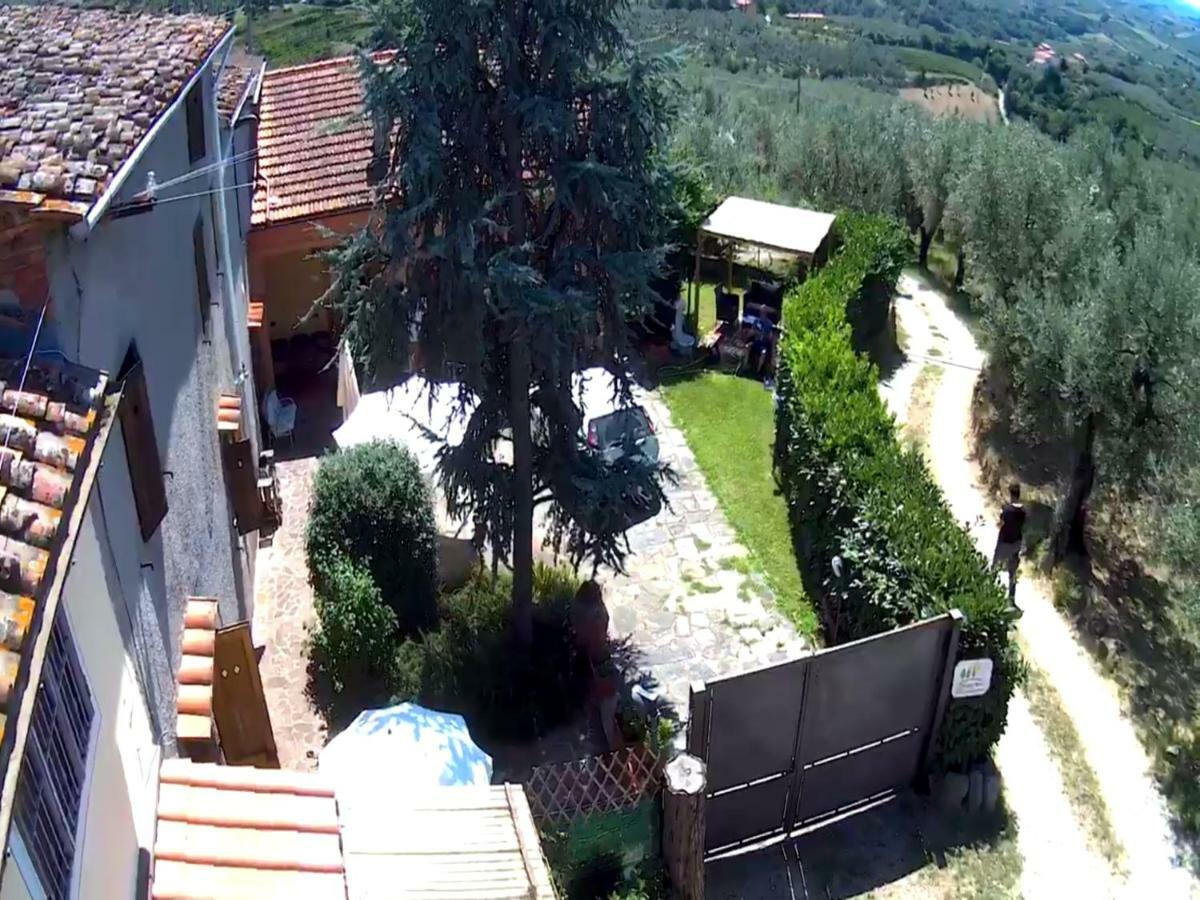 Il Borgo Dei Pini Daire Vinci Dış mekan fotoğraf